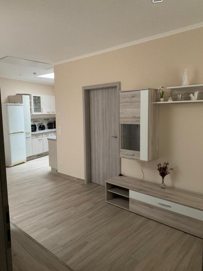 2Raum-Apartment Leznew Leipzig Exteriör bild